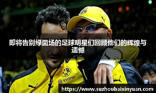 即将告别绿茵场的足球明星们回顾他们的辉煌与遗憾